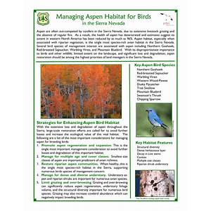 Aspen Bird habitat