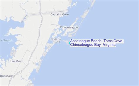 Easter Vacation in Virginia Day 4 Assateague Island Egrets The