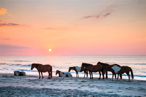 Assateague Island Sunset