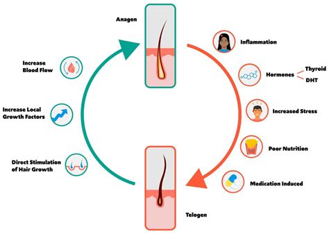 Assessing Hair Health