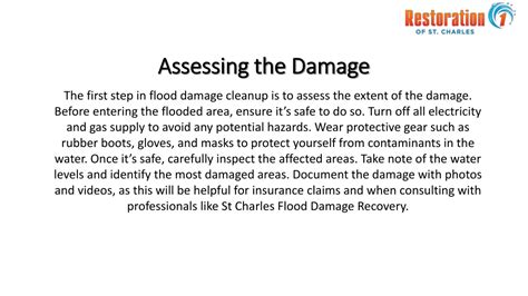 Assessing the Damage Is it DIY or Pro Territory