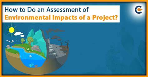 Assessing the Environment
