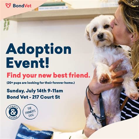 Assisting with Adoption Events