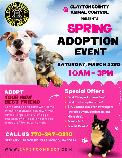 Assisting with Adoption Events