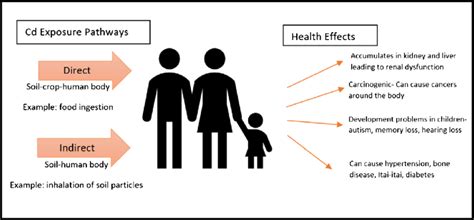 Associated Health Risks