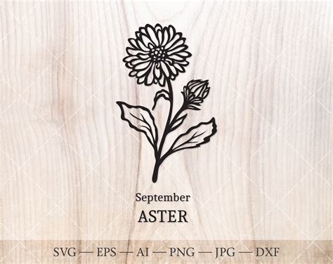 67+ Aster SVG, Aster SVG September Birth Flower SVG Virgo Flower SVG. Aster SVG Designs – Masterbundles