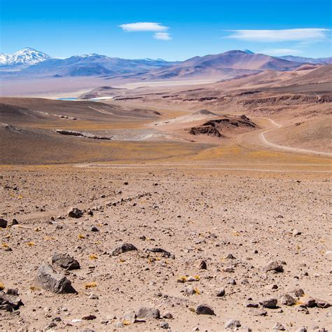 Atacama Desert Comforts