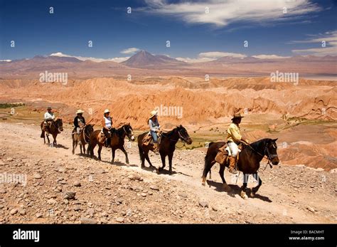 Atacama Desert Horseback Riding Packing