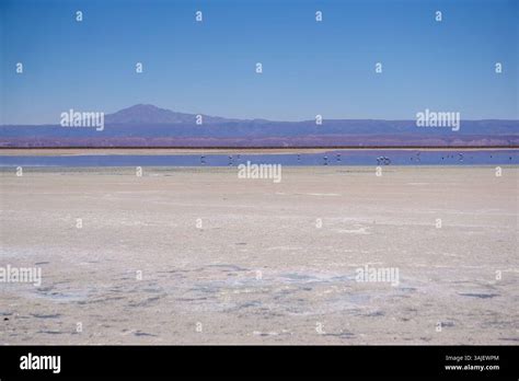 Atacama Desert Scenic Views
