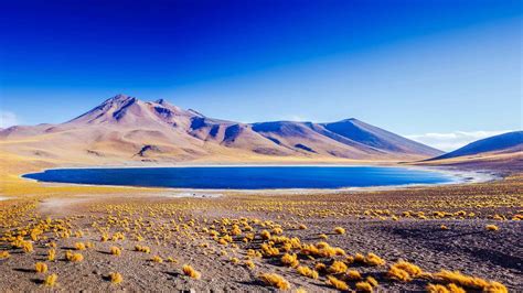 Atacama Desert Tours
