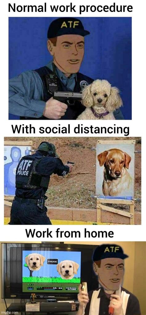 Atf Dog Meme