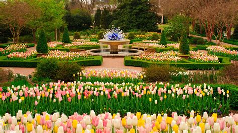 Atlanta Botanical Gardens