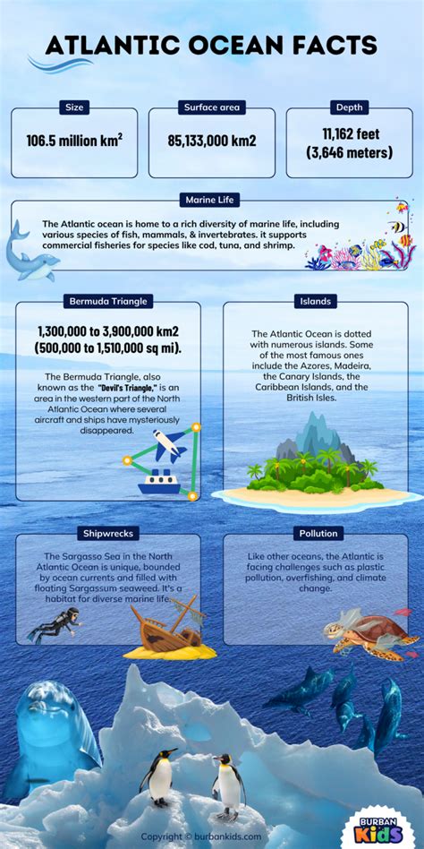 Atlantic Ocean Facts For Kids