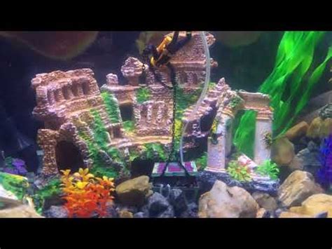 Dive into the Enchanting World of Atlantis with Our Mesmerizing Fish Tank Decor