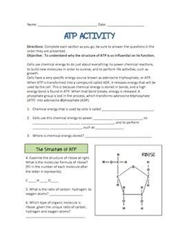 Atp Activity Worksheet Answer Key
