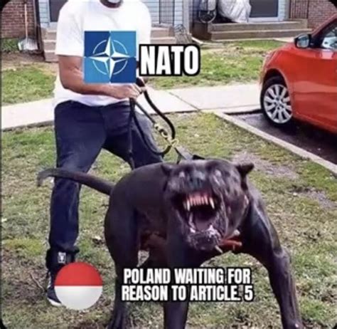 Attack Dog Meme