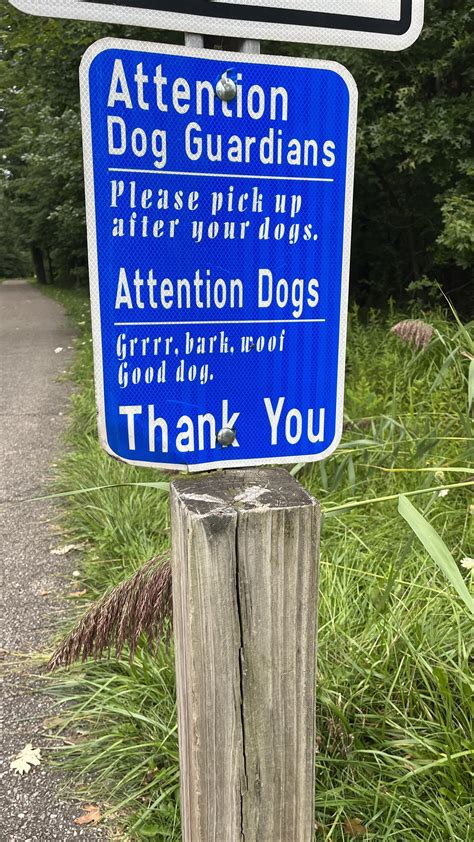 Attention Dogs Funny Sign