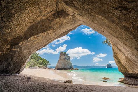 Auckland Cathedral Cove Tour: An Expert Review