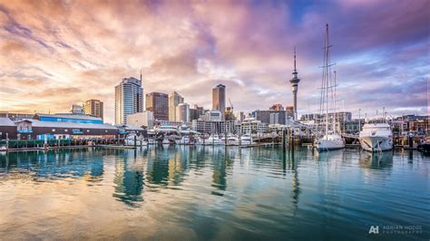 Auckland Harbor Sunset