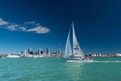 Auckland Sailing Cruise