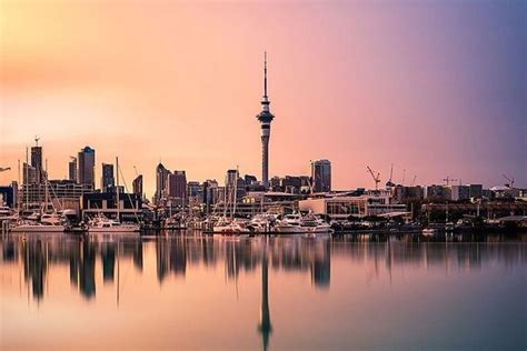 Auckland Tour Drawbacks