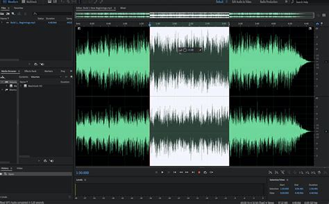 Audio Editor Using Software