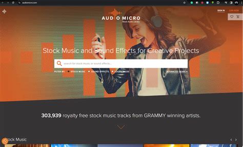 AudioMicro Website