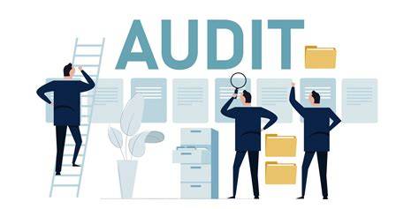 Audit