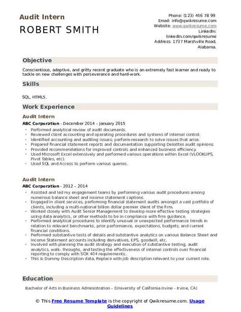 Audit Intern Resume