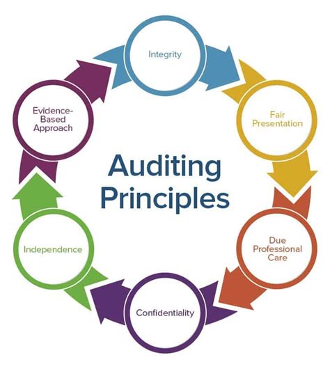 Auditing vs. Paying: Understanding the Model