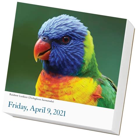 Audubon Bird Calendar