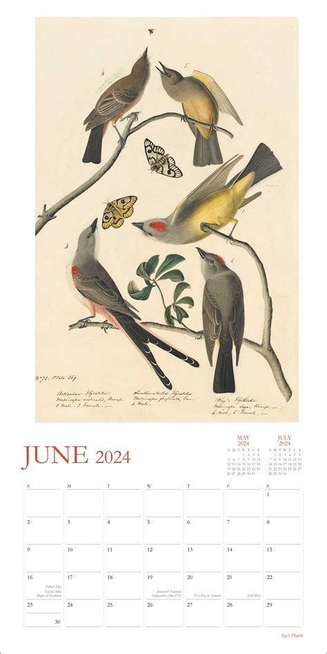 Fitzwilliam Museum Audubon Birds Wall Calendar 2023 (Art Calendar