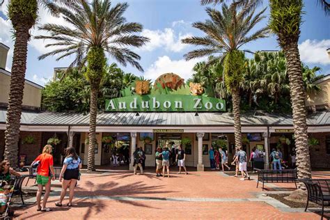 Audubon Zoo
