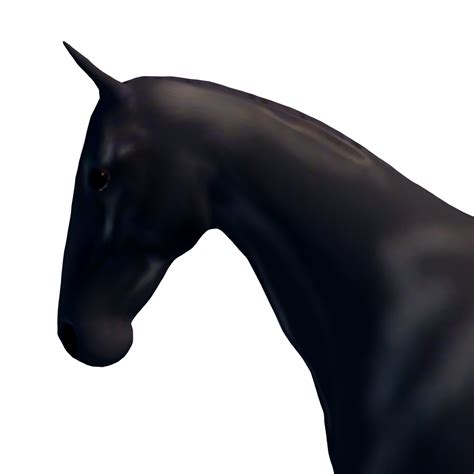 August 8, 2021 | Islands Wiki | Fandom