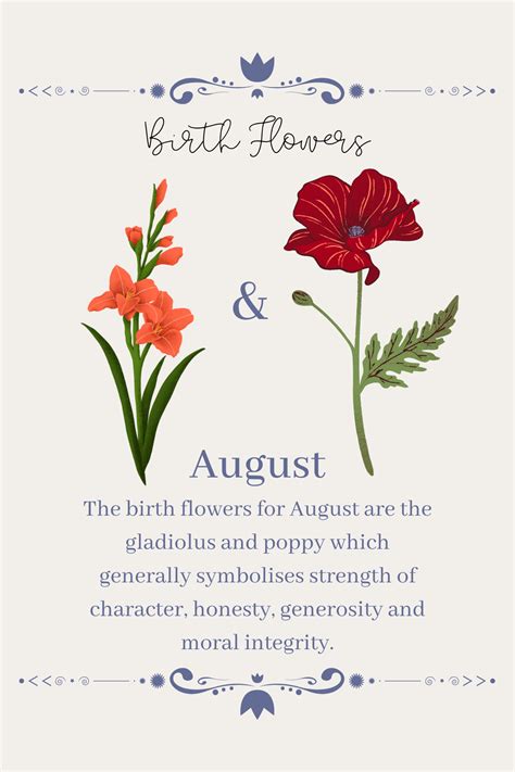 Discover the August Birth Month Flower and Its Meanings
