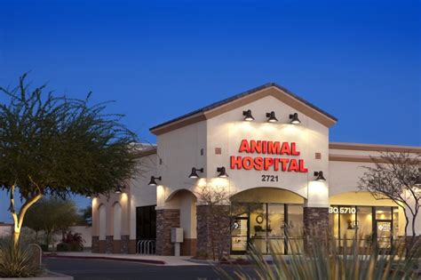 Exceptional Pet Care Services at Augusta Ranch Animal Hospital - A Trusted Name in Veterinary Care