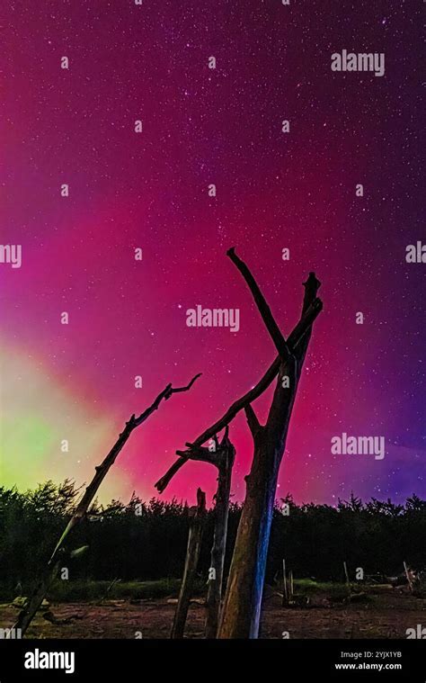 Aurora disappointment