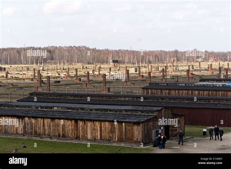 Auschwitz Birkenau Barracks