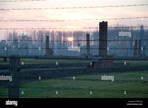 Auschwitz Birkenau Sunset