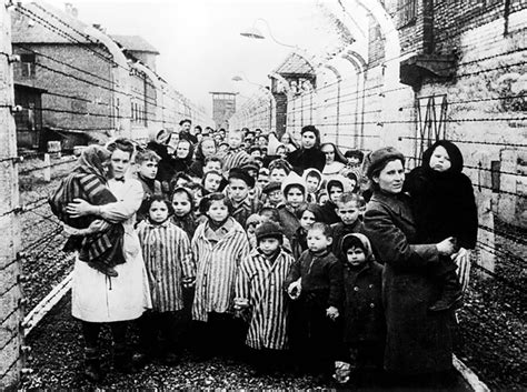 Auschwitz Crowds