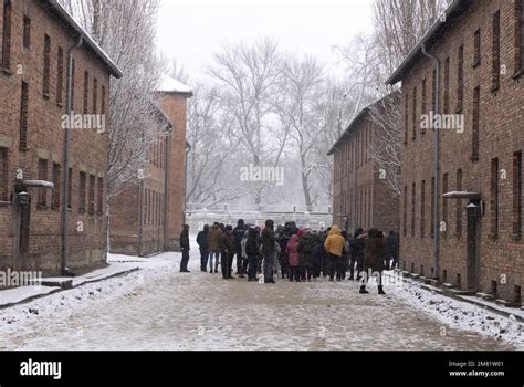 Auschwitz guided tour
