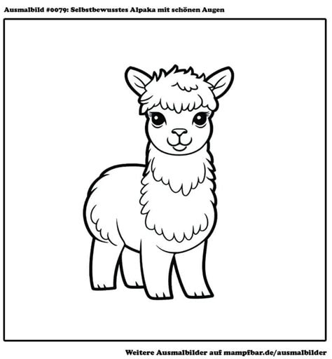 Ausmalbild Alpaka