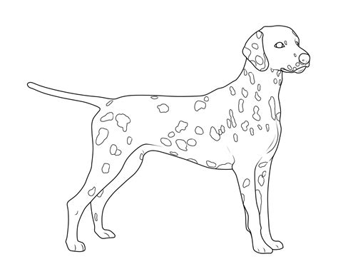 Ausmalbild Hunde Dalmatiner kostenlos ausdrucken