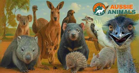 Aussie Animals Galore