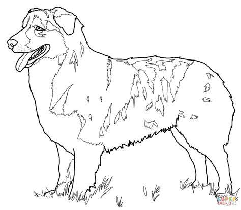 Aussie Coloring Pages