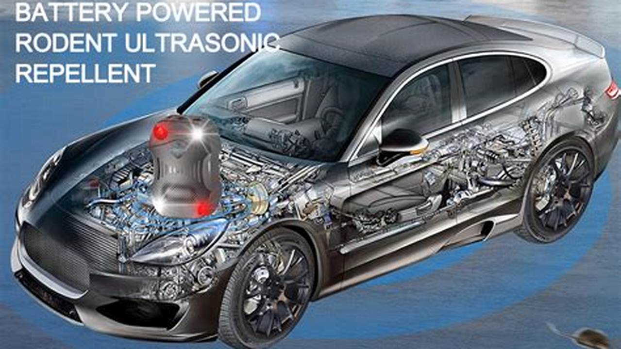 Austin Electric Vehicles Rodent Control