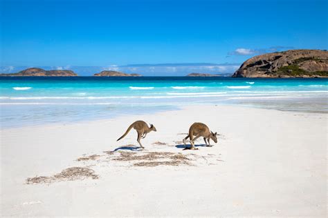 Australia Iconic Beach