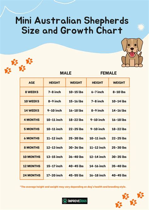 Mini Australian Shepherd Puppy Growth Chart Dog Breeds Picture