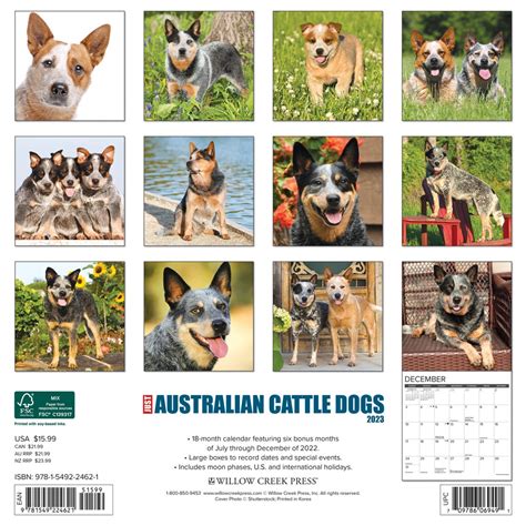 Australian Cattle Dog Calendar 2023 Avonside Publishing Ltd