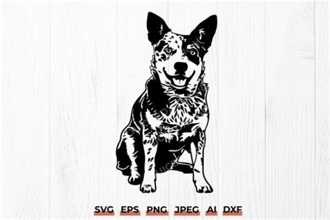 Download Australian Cattle Dog SVG File - SVG Design Commercial Use DXF Files